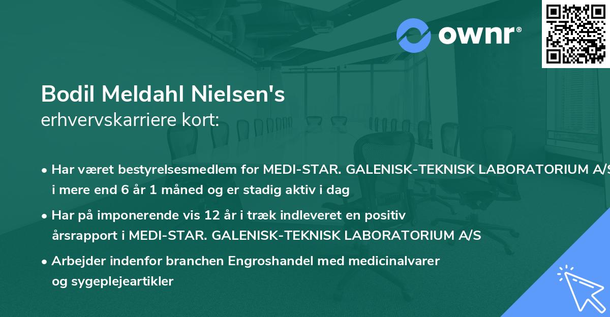 Bodil Meldahl Nielsen's erhvervskarriere kort