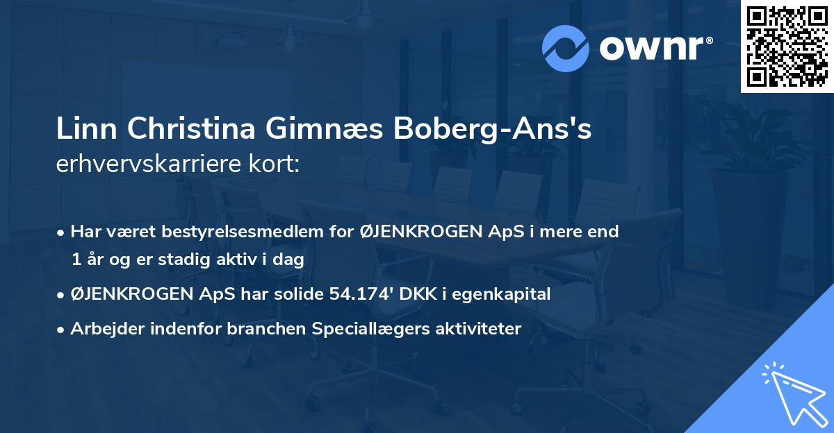 Linn Christina Gimnæs Boberg-Ans's erhvervskarriere kort
