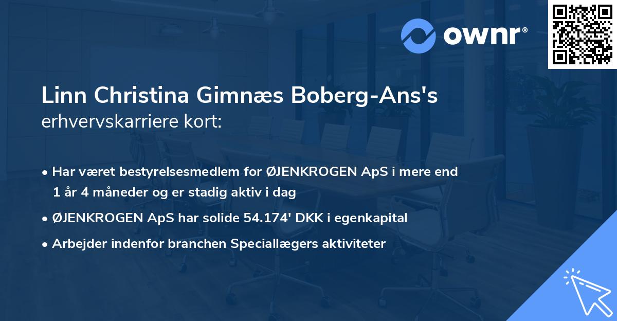 Linn Christina Gimnæs Boberg-Ans's erhvervskarriere kort