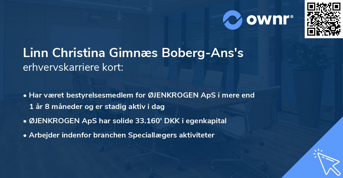 Linn Christina Gimnæs Boberg-Ans's erhvervskarriere kort