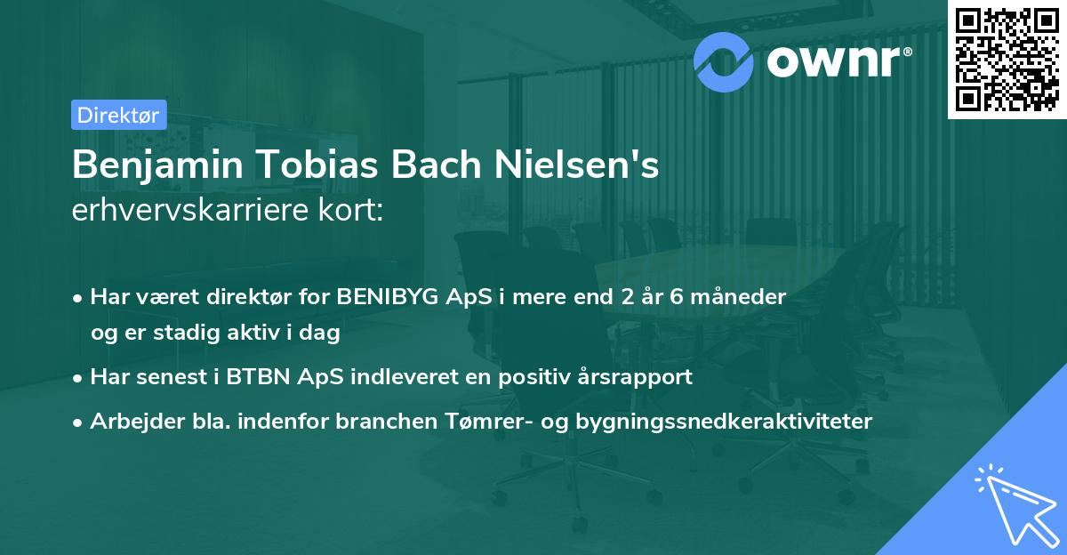 Benjamin Tobias Bach Nielsen's erhvervskarriere kort