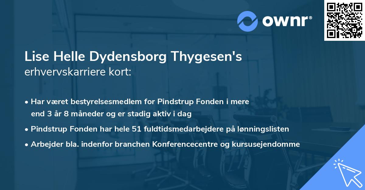 Lise Helle Dydensborg Thygesen's erhvervskarriere kort