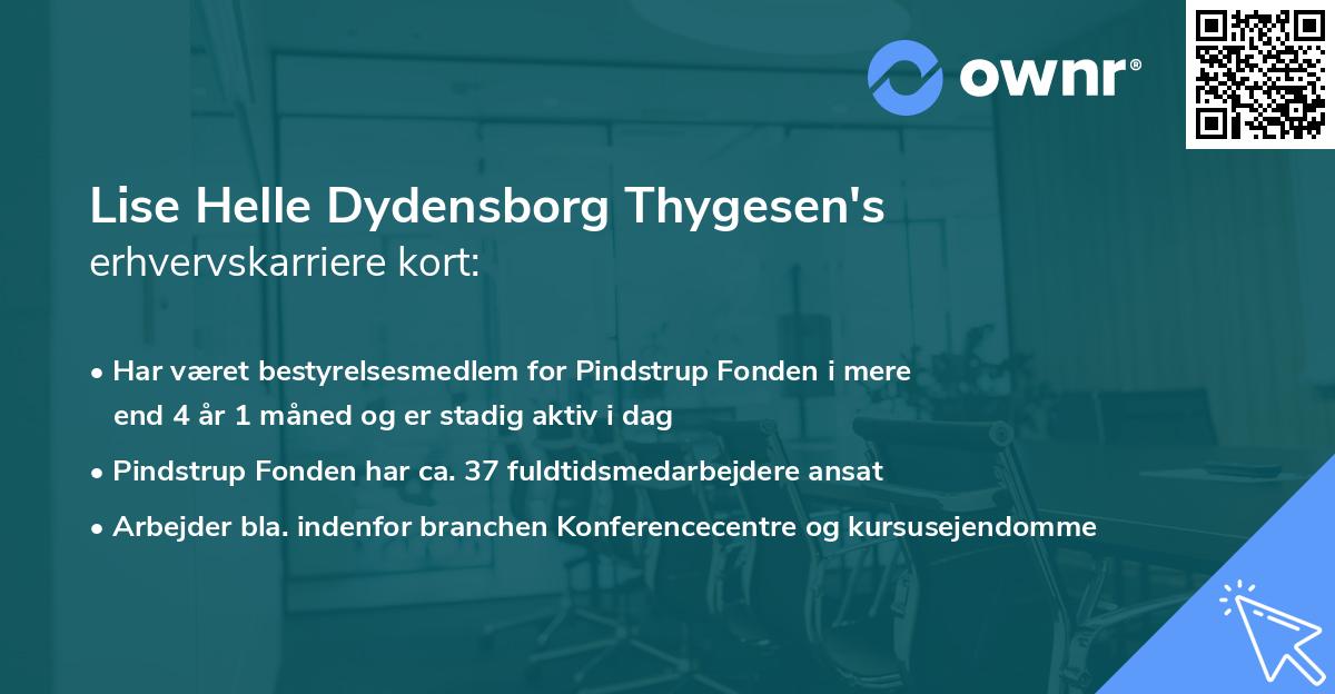 Lise Helle Dydensborg Thygesen's erhvervskarriere kort