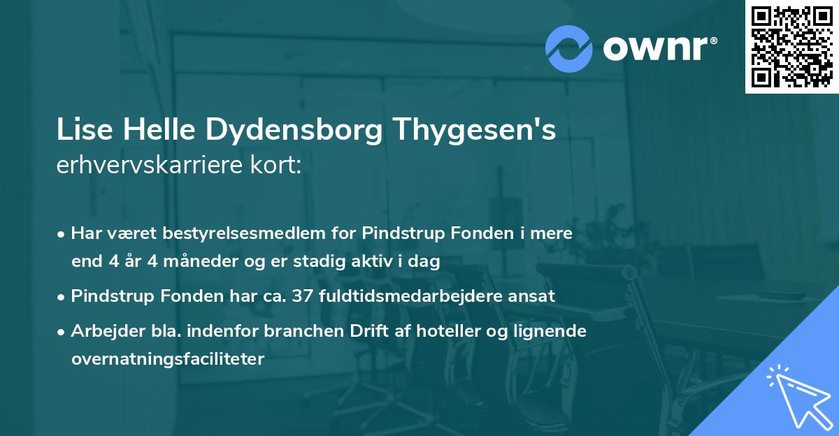 Lise Helle Dydensborg Thygesen's erhvervskarriere kort