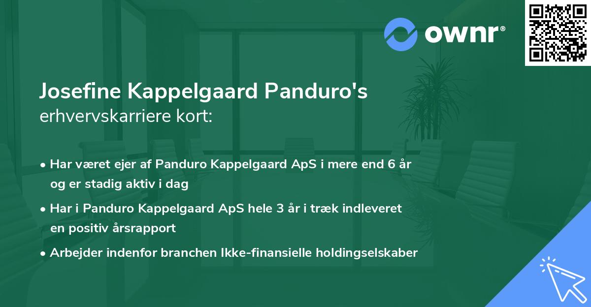 Josefine Kappelgaard Panduro's erhvervskarriere kort