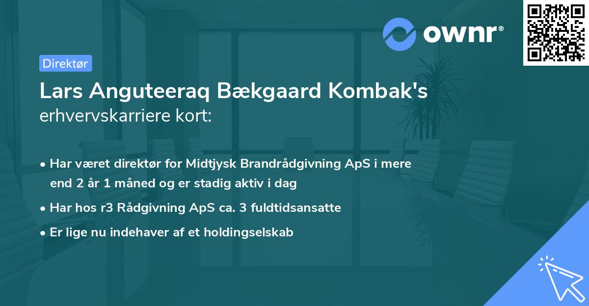 Lars Anguteeraq Bækgaard Kombak's erhvervskarriere kort
