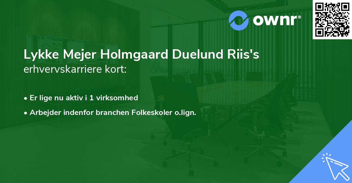 Lykke Mejer Holmgaard Duelund Riis's erhvervskarriere kort