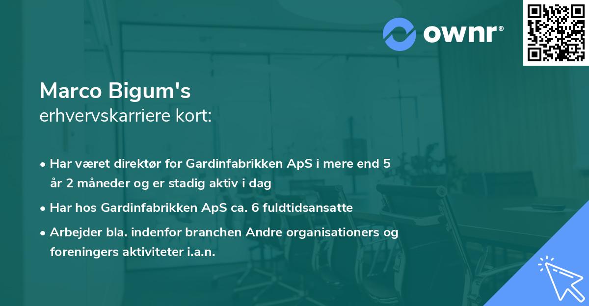 Marco Bigum's erhvervskarriere kort
