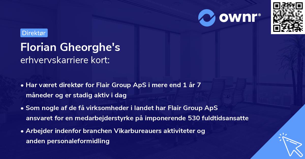Florian Gheorghe's erhvervskarriere kort