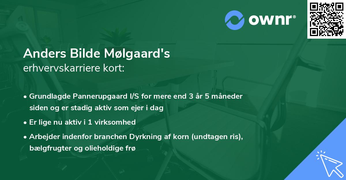 Anders Bilde Mølgaard's erhvervskarriere kort