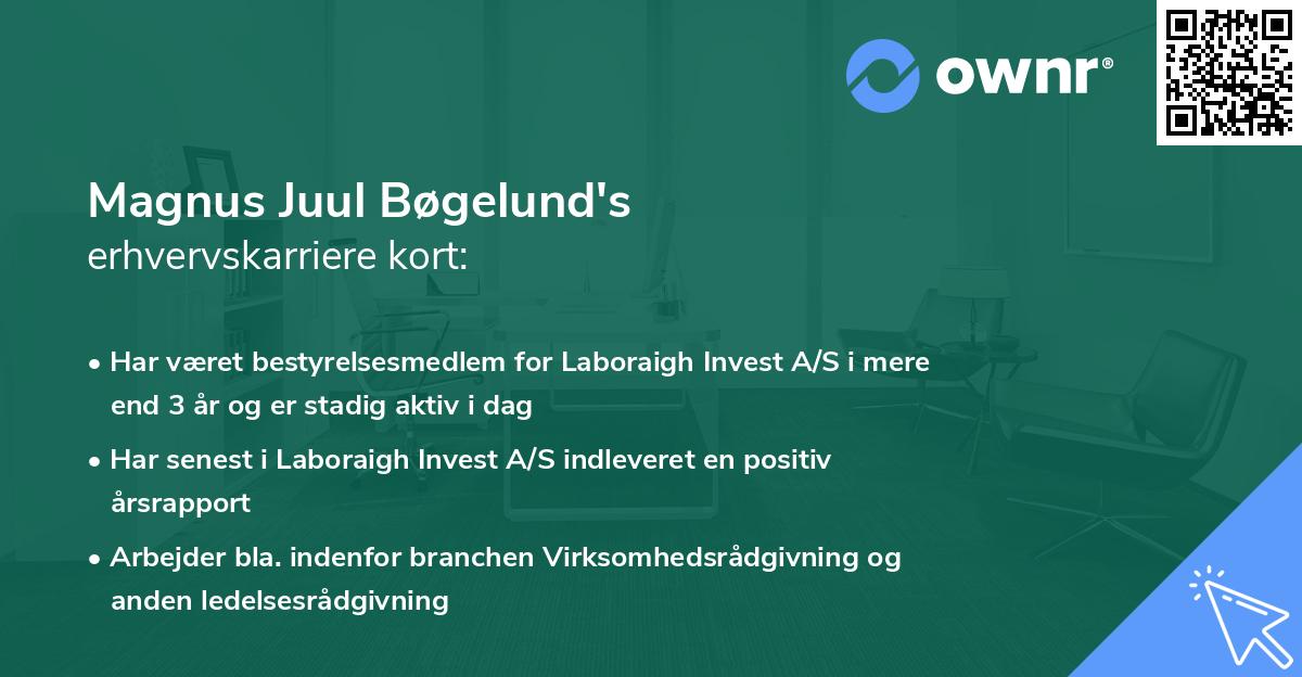 Magnus Juul Bøgelund's erhvervskarriere kort