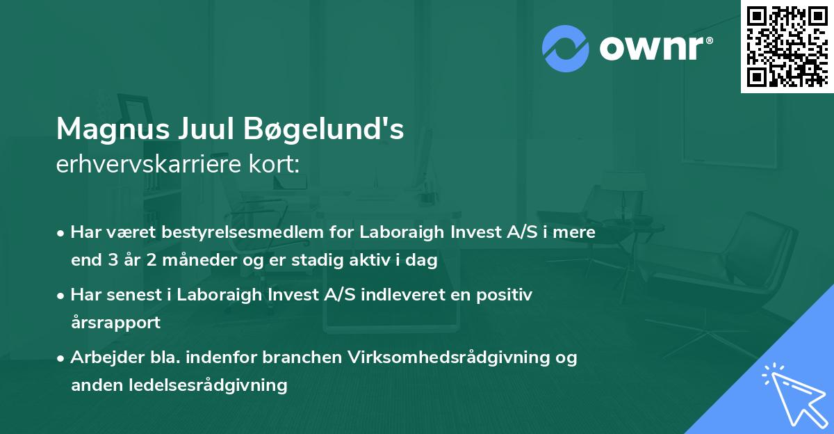 Magnus Juul Bøgelund's erhvervskarriere kort