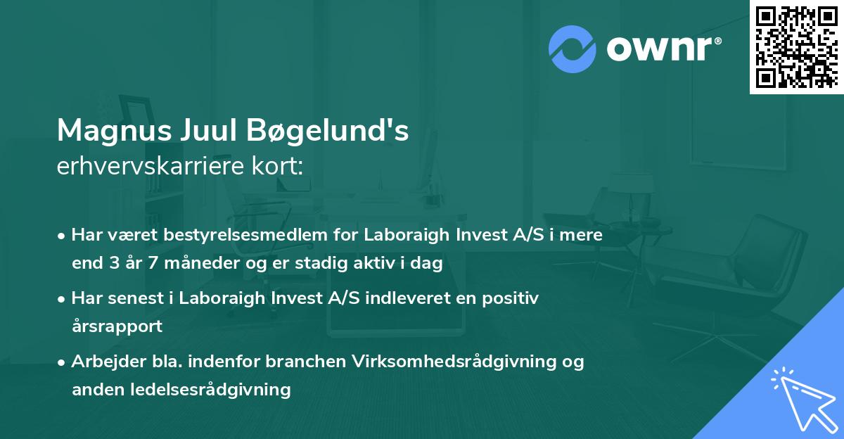 Magnus Juul Bøgelund's erhvervskarriere kort