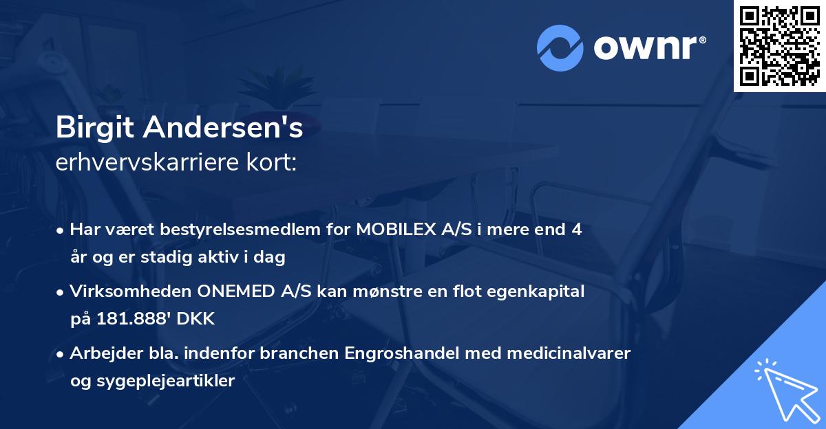 Birgit Andersen's erhvervskarriere kort