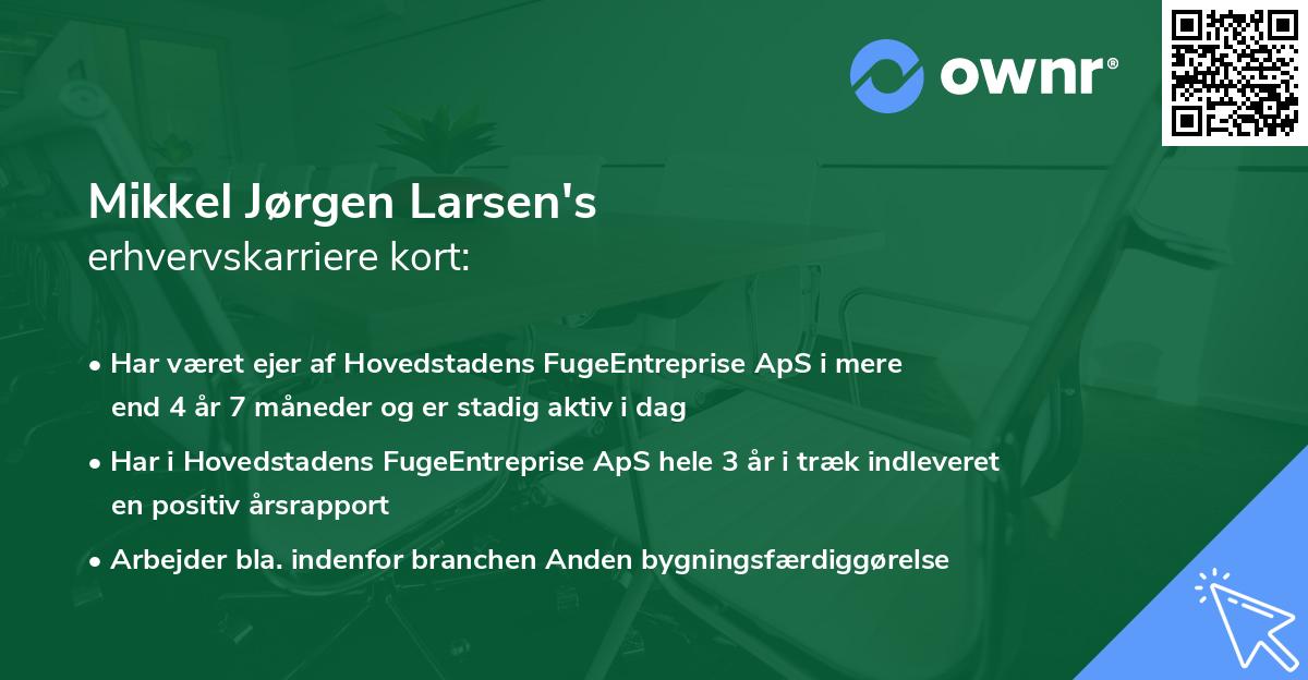 Mikkel Jørgen Larsen's erhvervskarriere kort