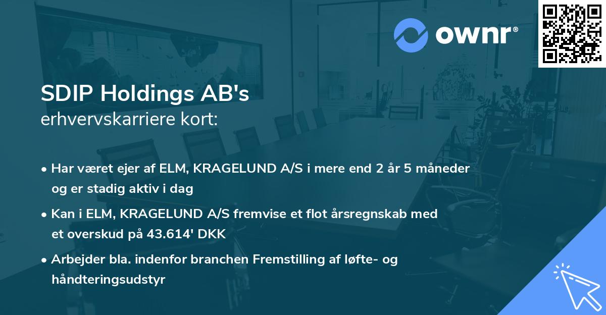 SDIP Holdings AB's erhvervskarriere kort