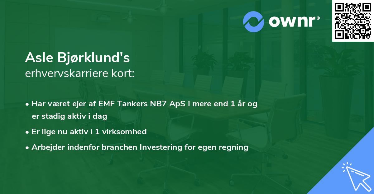 Asle Bjørklund's erhvervskarriere kort