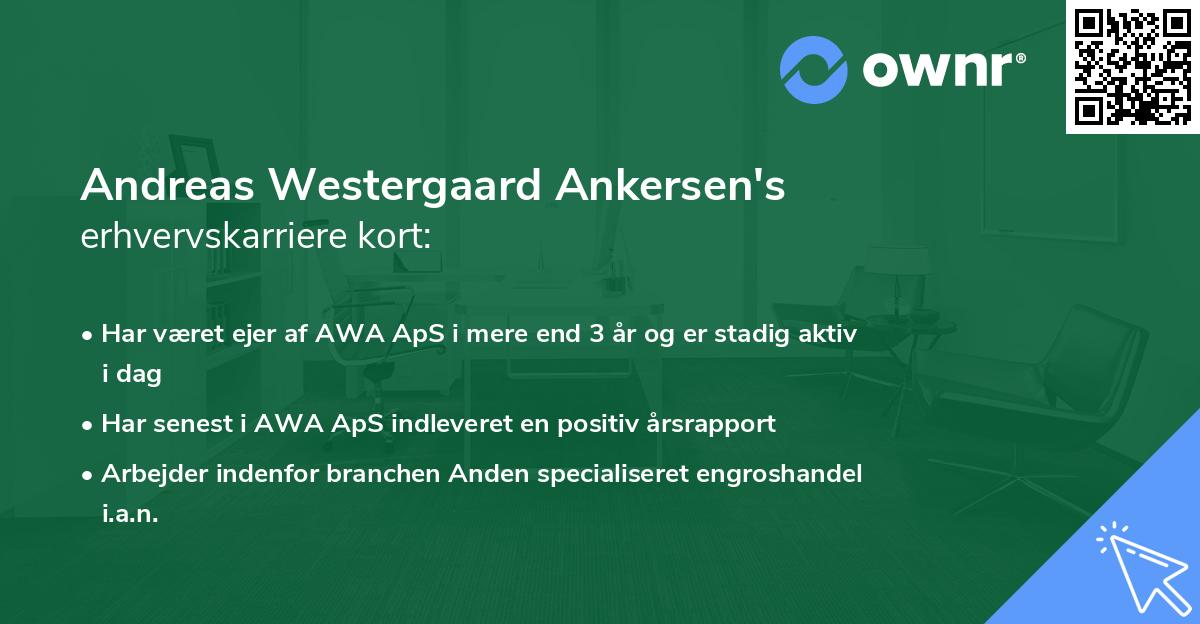 Andreas Westergaard Ankersen's erhvervskarriere kort