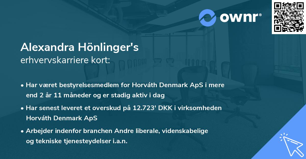 Alexandra Hönlinger's erhvervskarriere kort