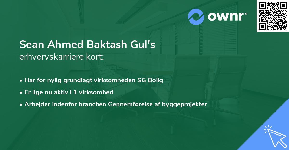 Sean Ahmed Baktash Gul's erhvervskarriere kort