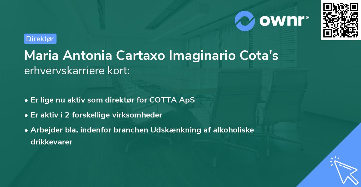 Maria Antonia Cartaxo Imaginario Cota's erhvervskarriere kort