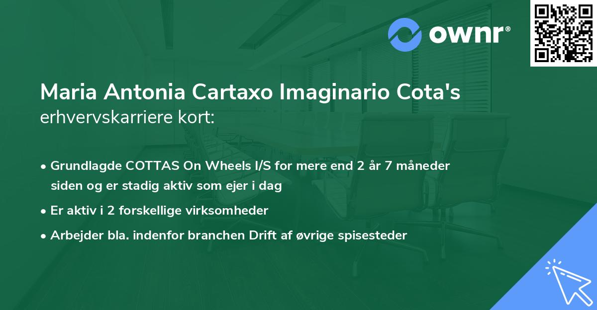 Maria Antonia Cartaxo Imaginario Cota's erhvervskarriere kort