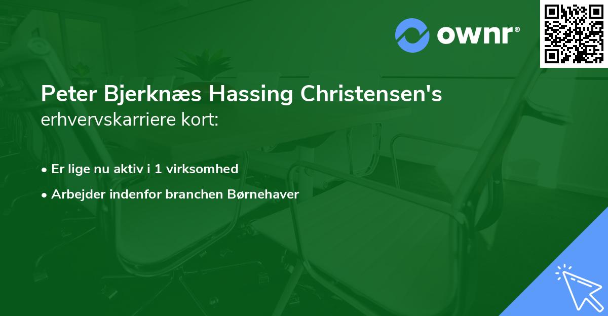 Peter Bjerknæs Hassing Christensen's erhvervskarriere kort