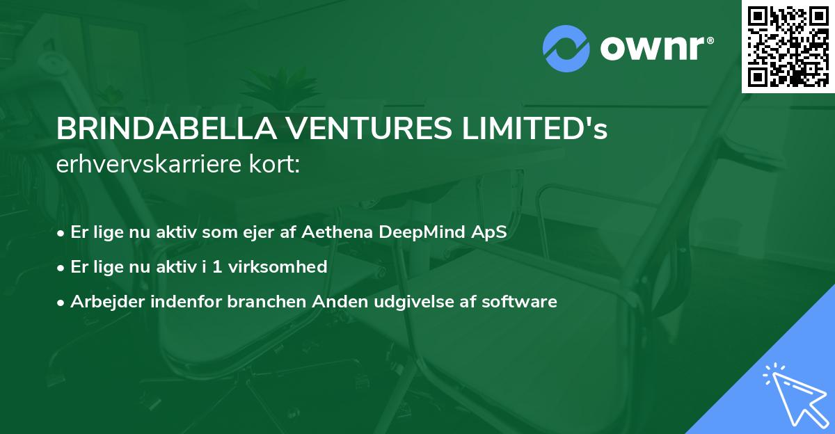 BRINDABELLA VENTURES LIMITED's erhvervskarriere kort
