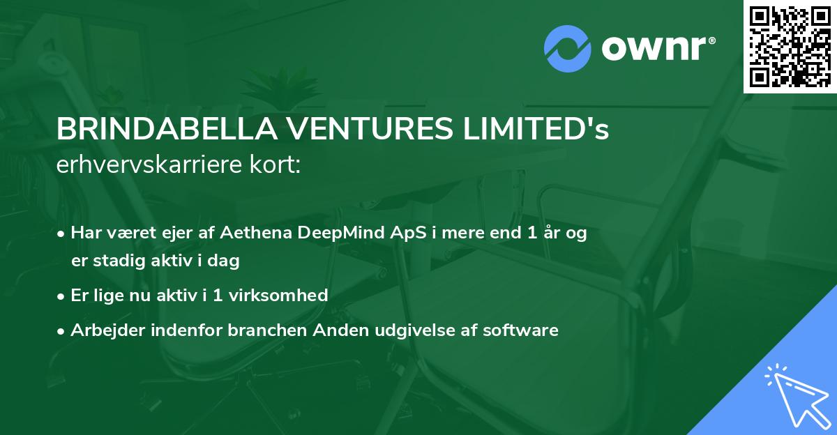 BRINDABELLA VENTURES LIMITED's erhvervskarriere kort