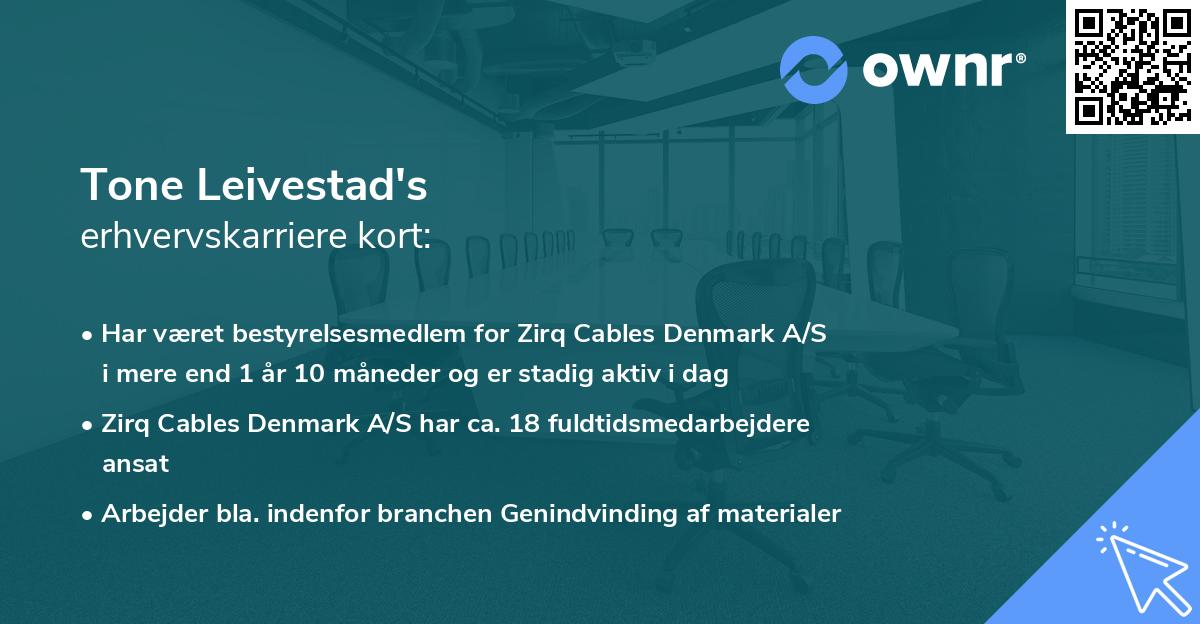 Tone Leivestad's erhvervskarriere kort