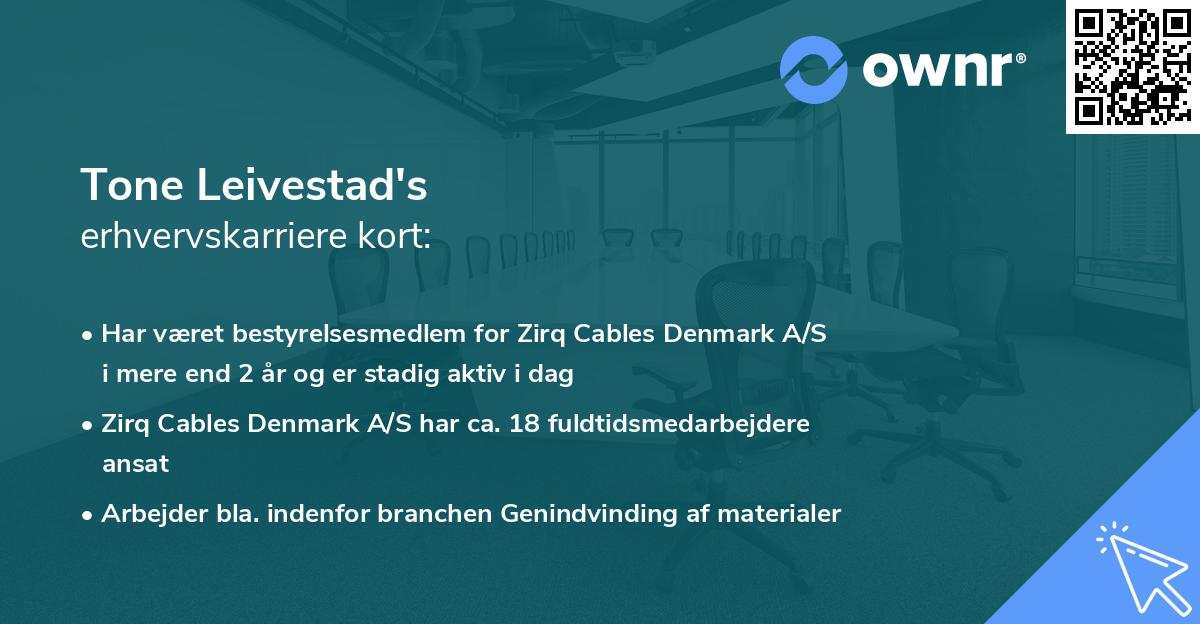 Tone Leivestad's erhvervskarriere kort