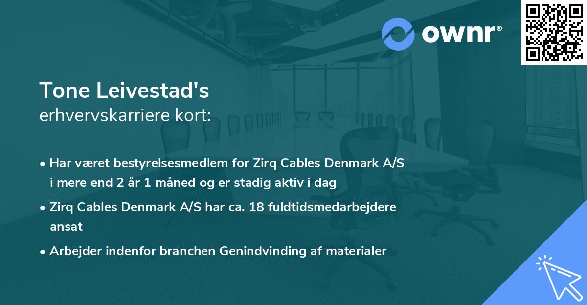 Tone Leivestad's erhvervskarriere kort