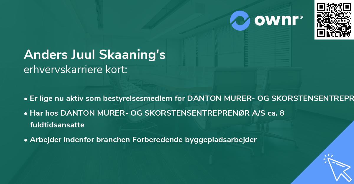 Anders Juul Skaaning's erhvervskarriere kort