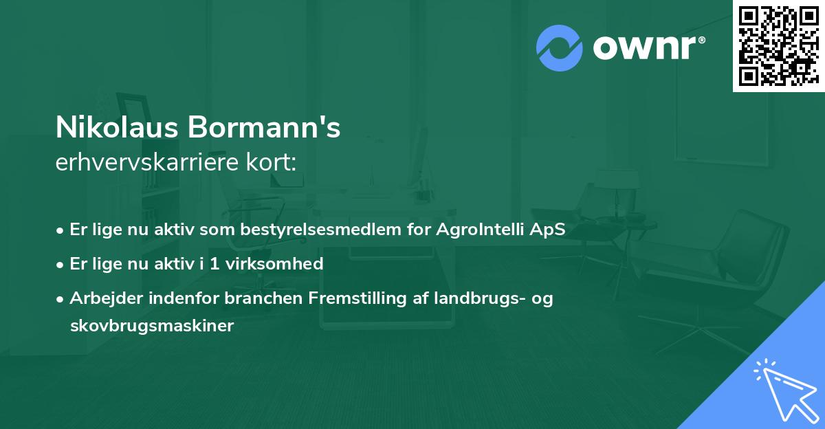 Nikolaus Bormann's erhvervskarriere kort