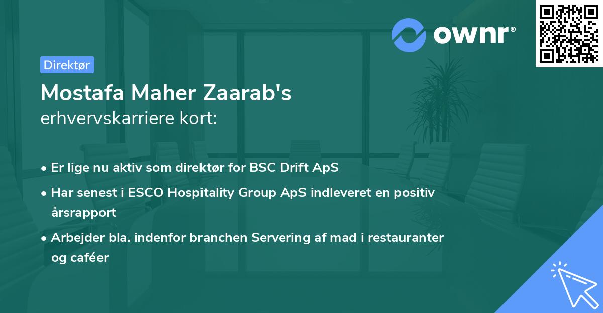 Mostafa Maher Zaarab's erhvervskarriere kort