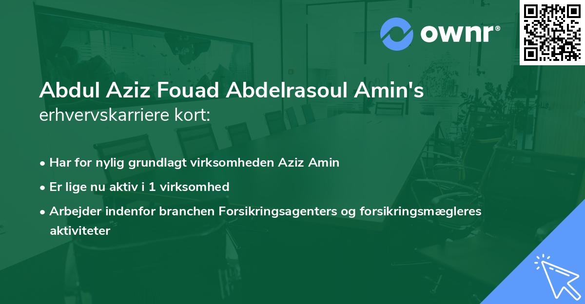 Abdul Aziz Fouad Abdelrasoul Amin's erhvervskarriere kort