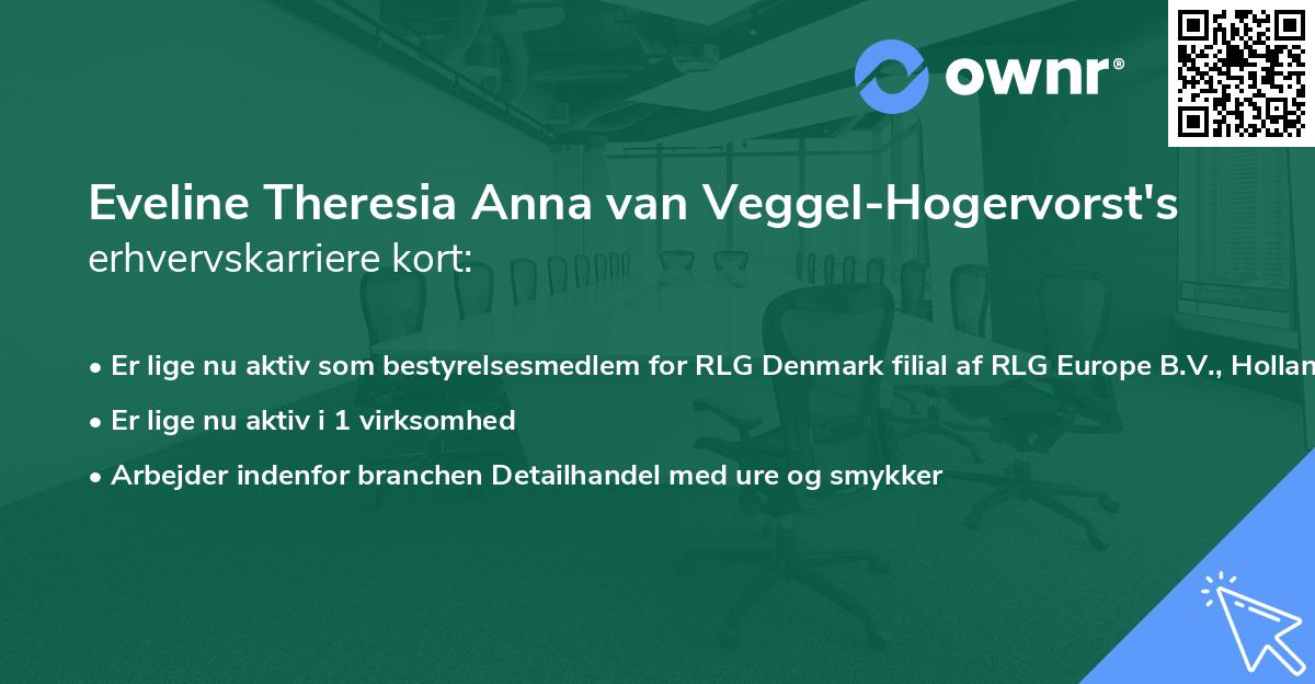 Eveline Theresia Anna van Veggel-Hogervorst's erhvervskarriere kort