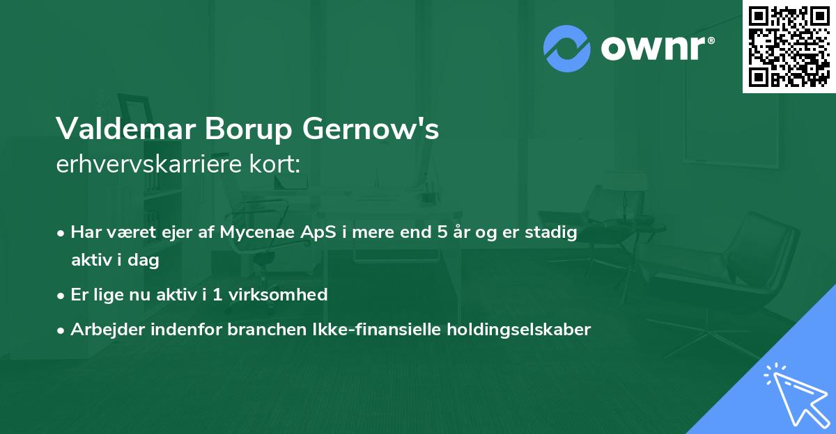 Valdemar Borup Gernow's erhvervskarriere kort