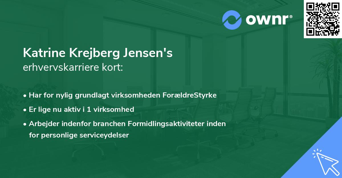 Katrine Krejberg Jensen's erhvervskarriere kort