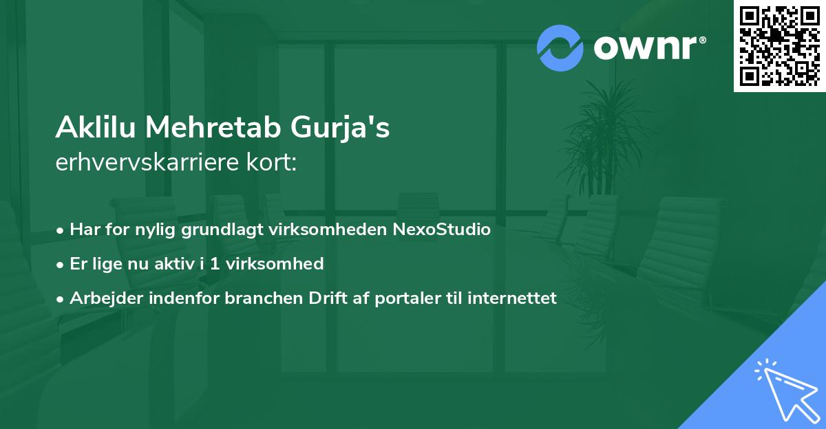 Aklilu Mehretab Gurja's erhvervskarriere kort