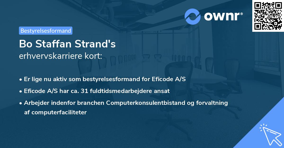 Bo Staffan Strand's erhvervskarriere kort