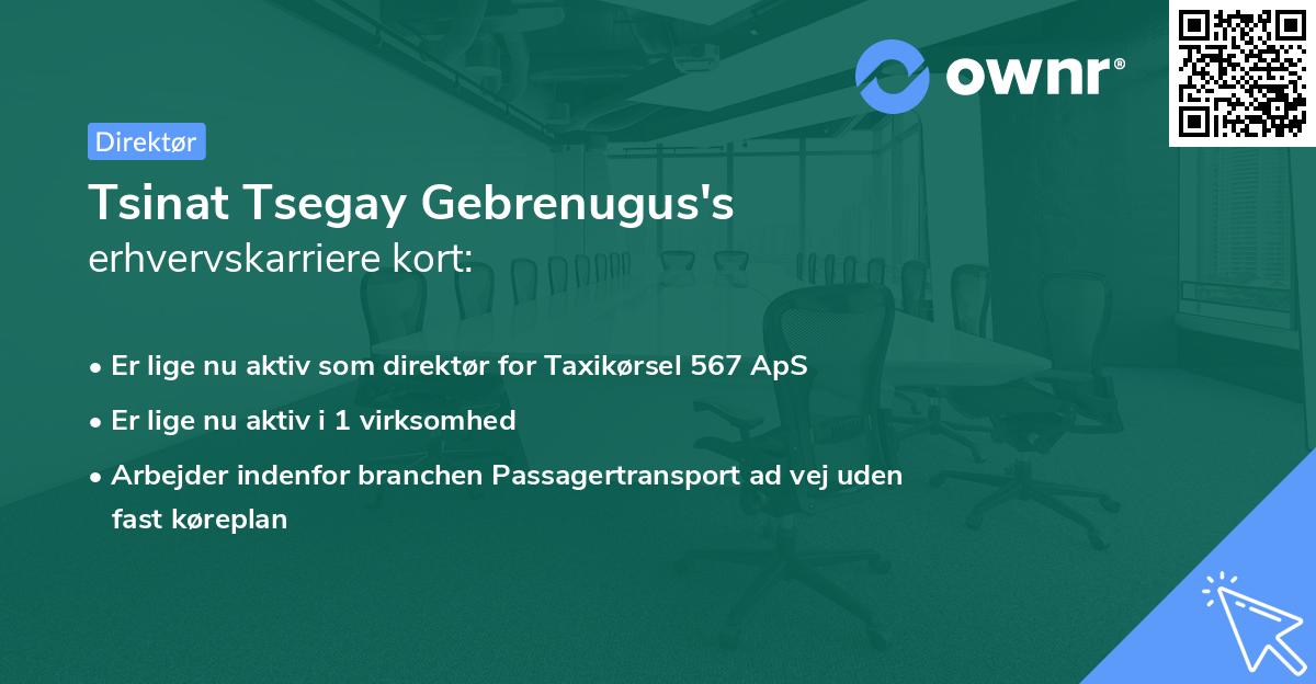 Tsinat Tsegay Gebrenugus's erhvervskarriere kort