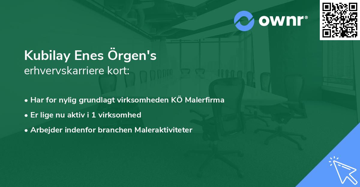 Kubilay Enes Örgen's erhvervskarriere kort