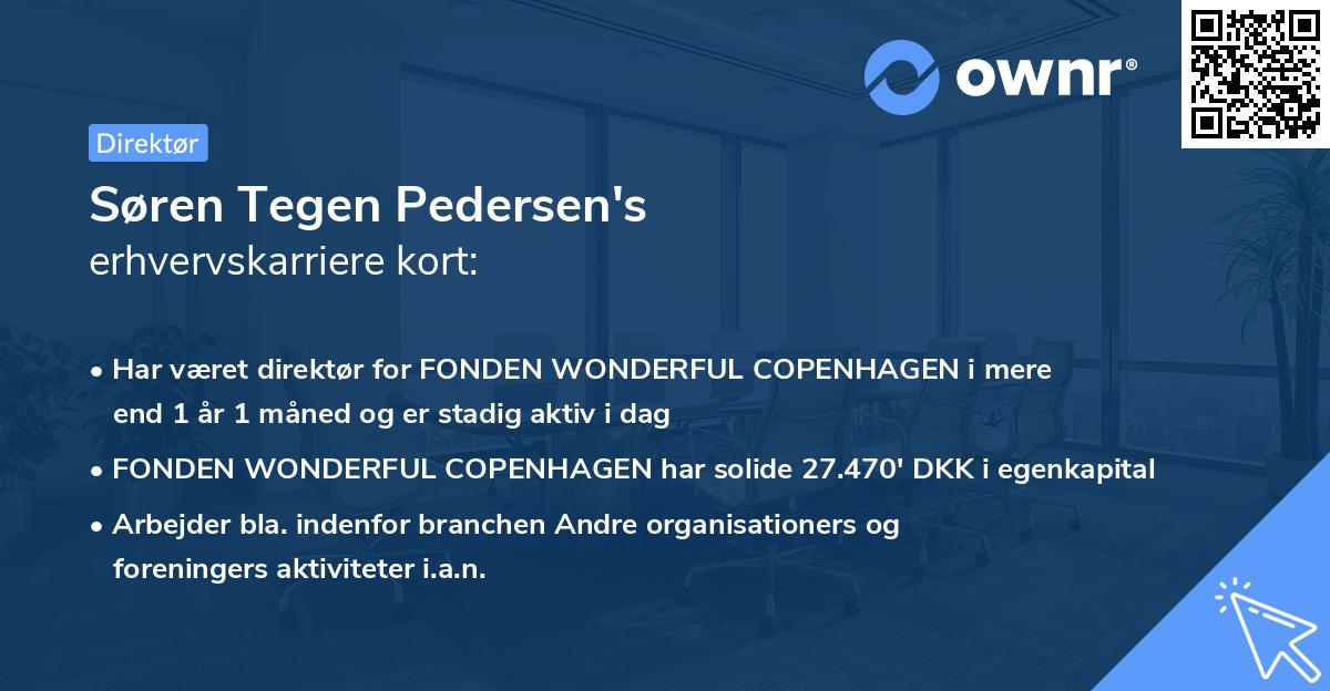 Søren Tegen Pedersen's erhvervskarriere kort