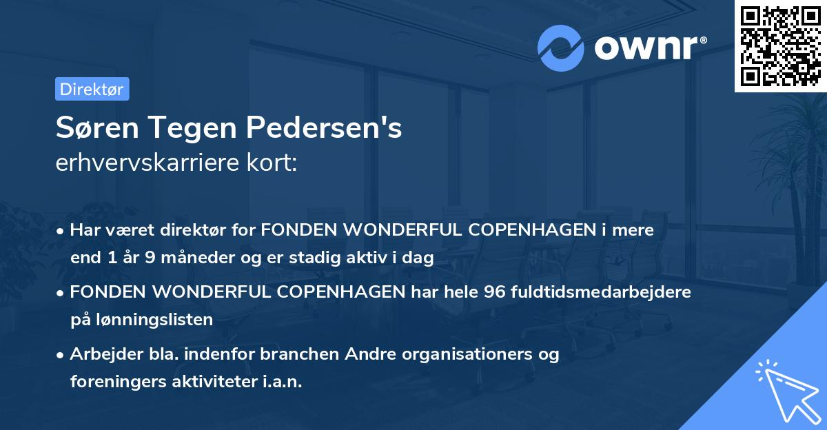 Søren Tegen Pedersen's erhvervskarriere kort