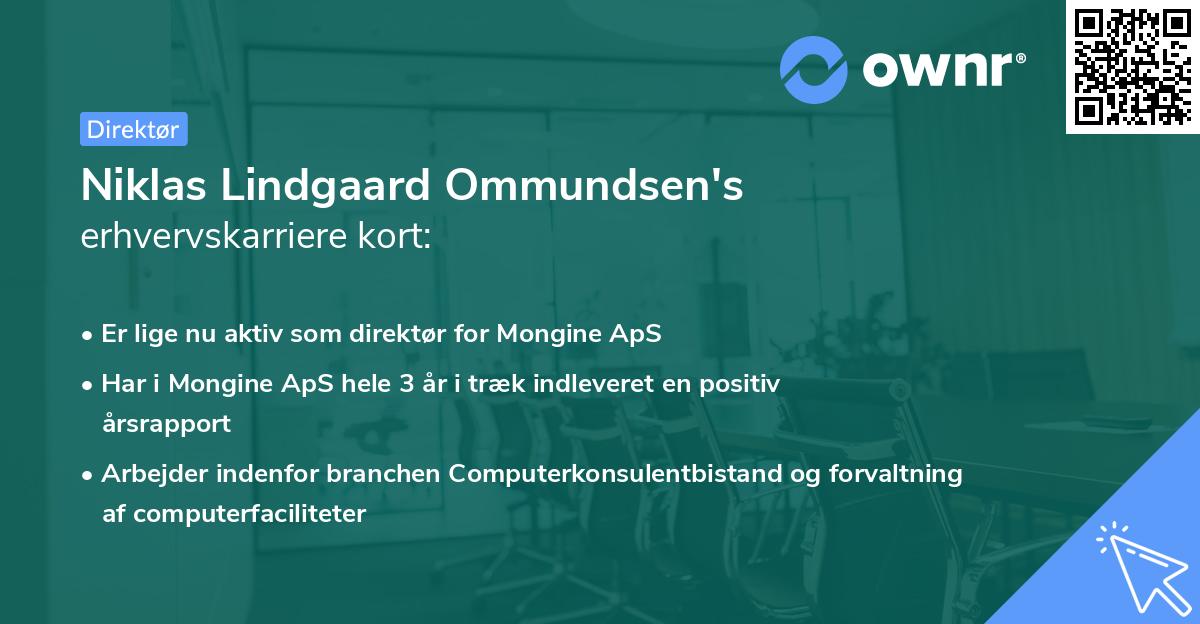 Niklas Lindgaard Ommundsen's erhvervskarriere kort