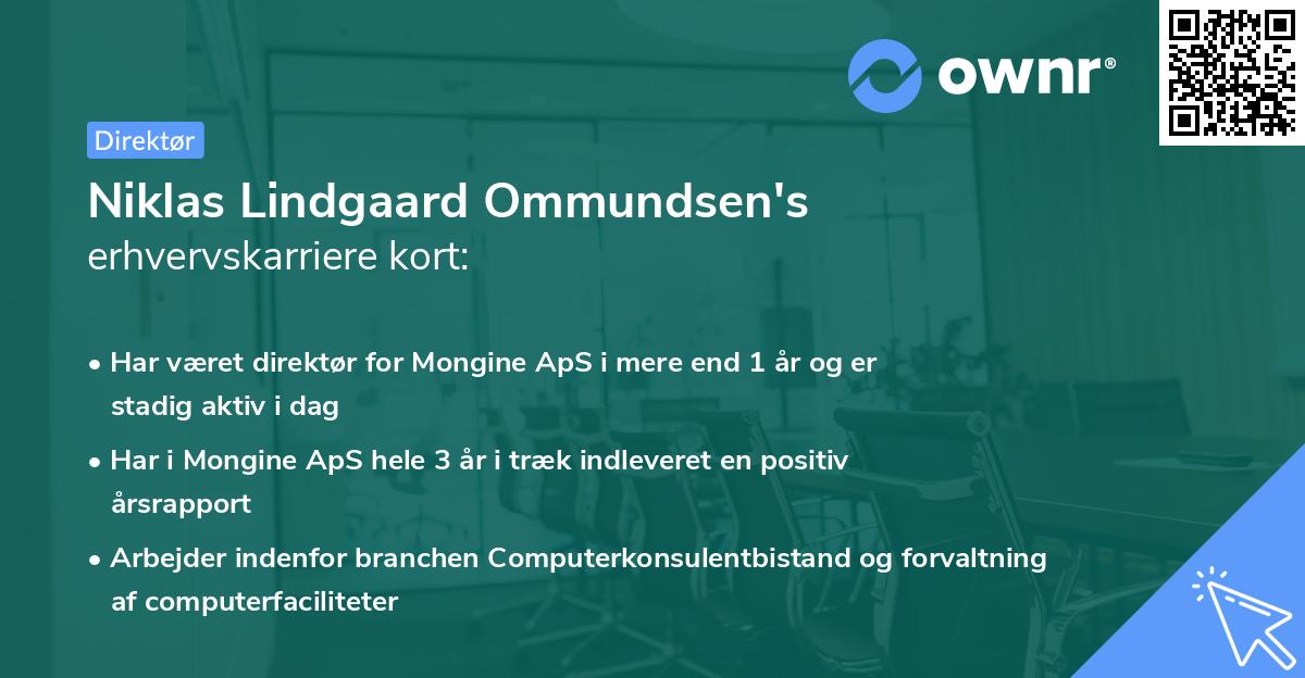 Niklas Lindgaard Ommundsen's erhvervskarriere kort