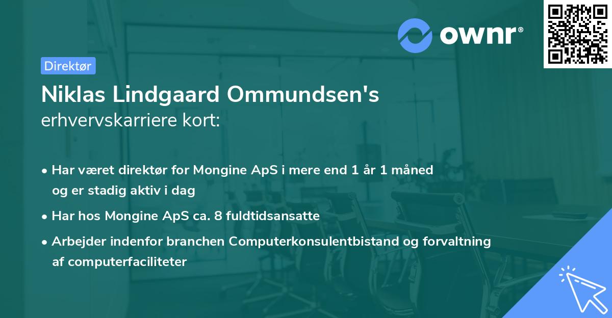 Niklas Lindgaard Ommundsen's erhvervskarriere kort