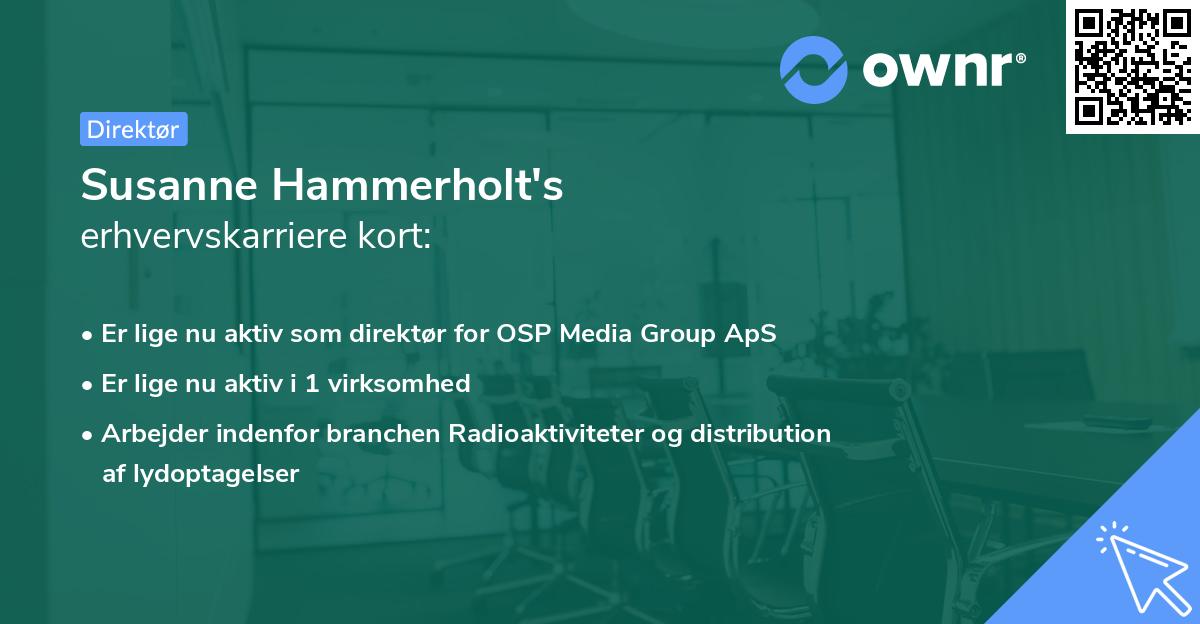 Susanne Hammerholt's erhvervskarriere kort