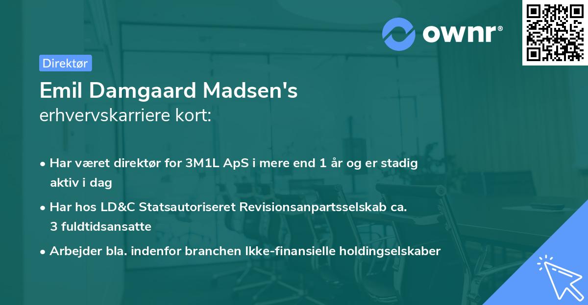 Emil Damgaard Madsen's erhvervskarriere kort